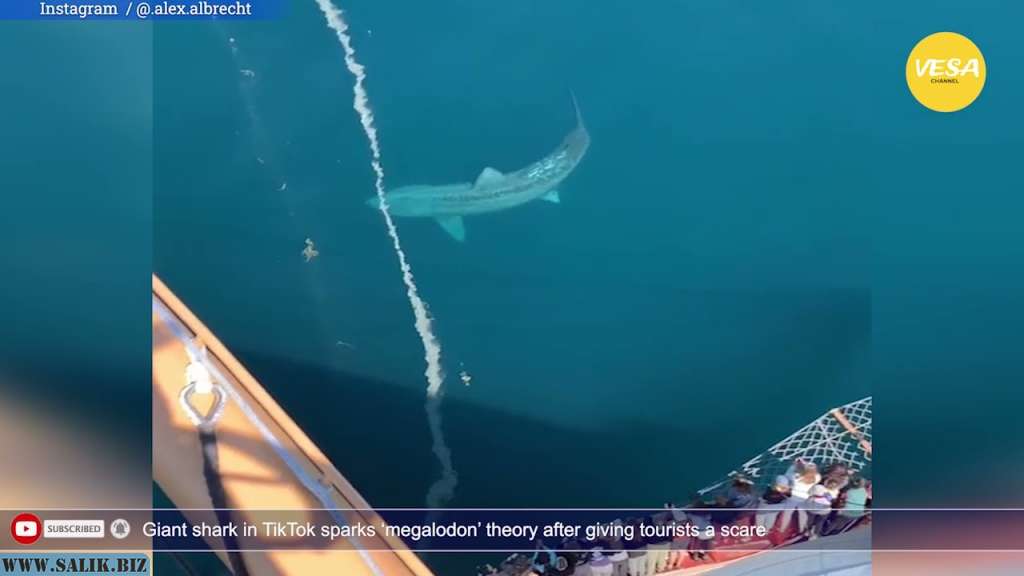 f3c50efab28da01394eff6f792601a72 1