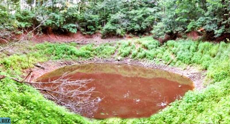 f3d845311263afcecad072ab79fbf0de 1