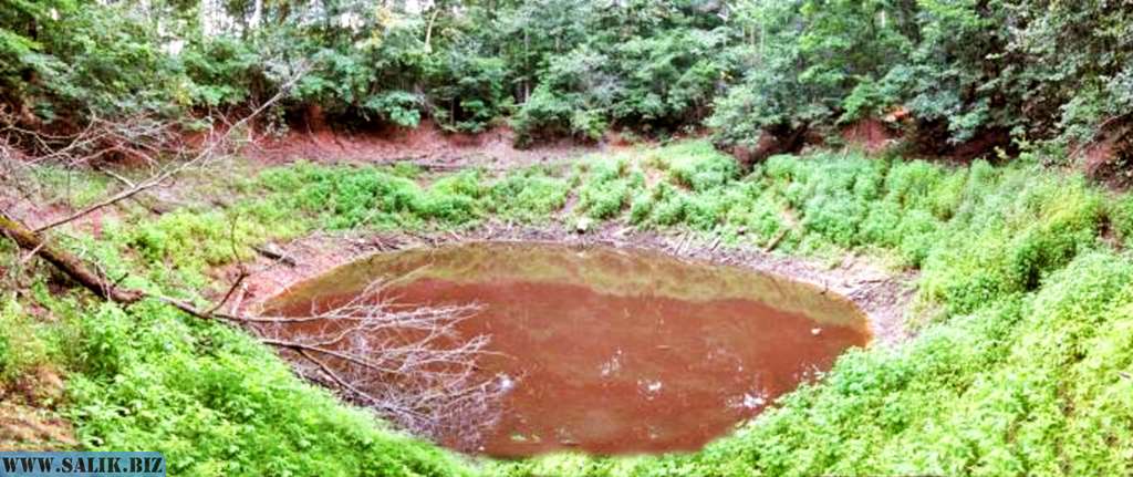 f3d845311263afcecad072ab79fbf0de 1