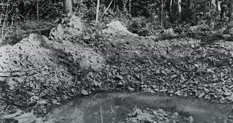 istorija i tajny padenija sihote alinskogo meteorita d9c440b