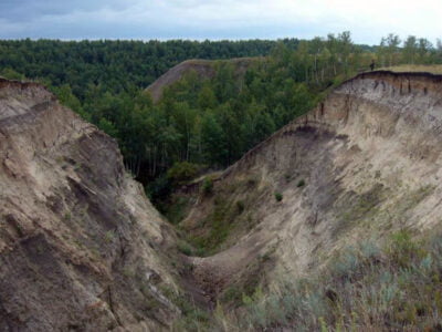 Чёртов овраг в Псковской области 20 mistika ovrag