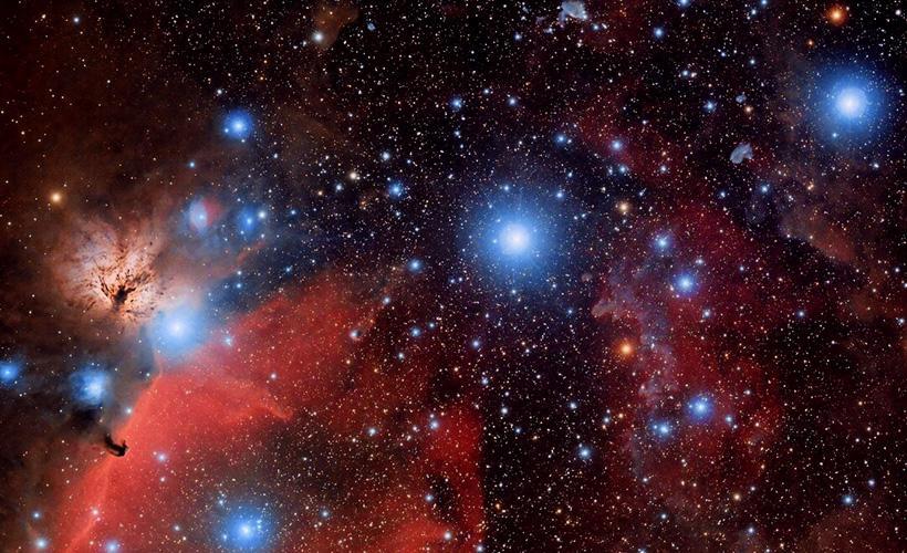 Расы гуманоидов внеземных цивилизаций (часть 8) 18 orion 2