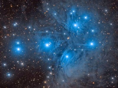 Расы гуманоидов внеземных цивилизаций (часть 7) 21 pleadi 26