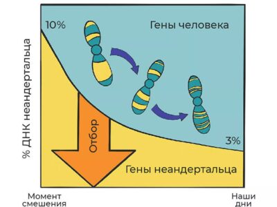 vojna ljudej i neandertalcev istorija velichajshego konflikta v istorii c59b866