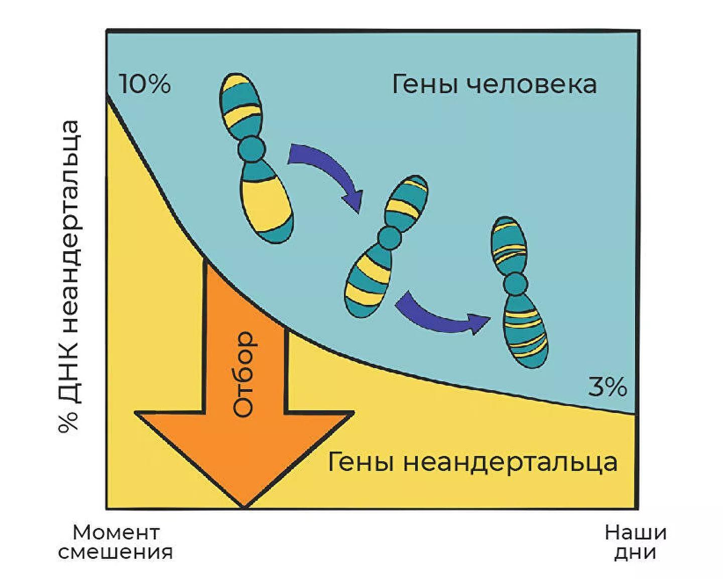 Война людей и неандертальцев 18 vojna ljudej i neandertalcev istorija velichajshego konflikta v istorii c59b866