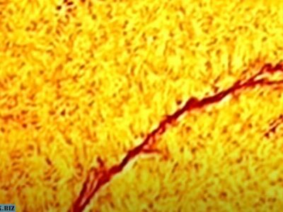 На снимках Солнца сделанных STEREO заметили объекты. Теория искусственной звезды 22 06769929ef6355afd1d43496d8cc3c4c 1