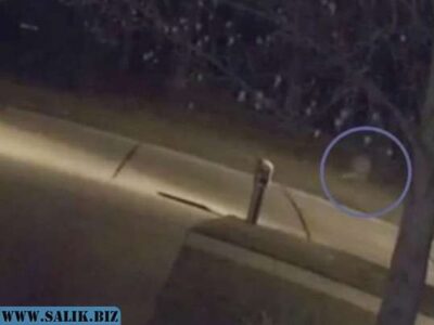 216f8128d5e63c30c41e722390476d75 1