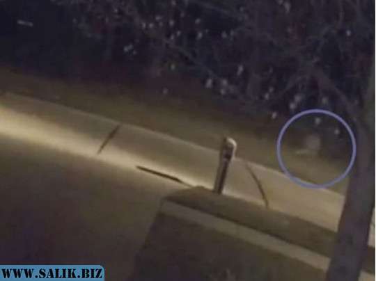 Американский полицейский заметил на улице девочку-призрака, которая попала на видео 18 216f8128d5e63c30c41e722390476d75 1