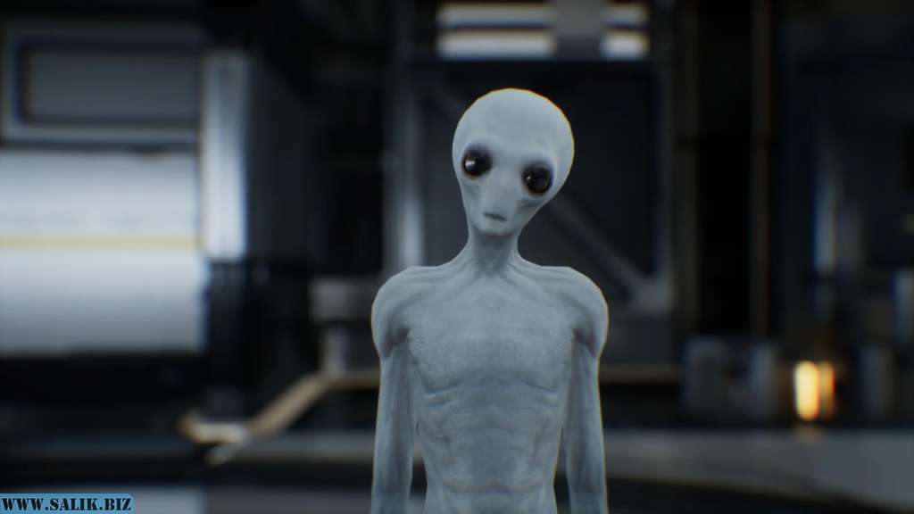 3a3ef6af31ac11cb064f878ad5369012 1