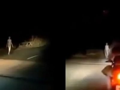 Гуманоид или больной человек? На дороге в Индии засняли «живой скелет» 22 44800060