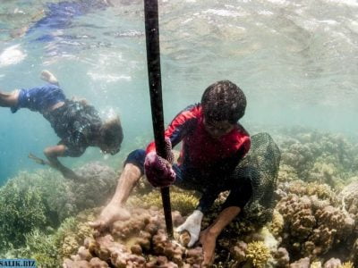 «Люди-рыбы» или генетические мутации индонезийцев из племени баджау 20 4e8732779a579f8edae14a3b4ac8ae7a 1