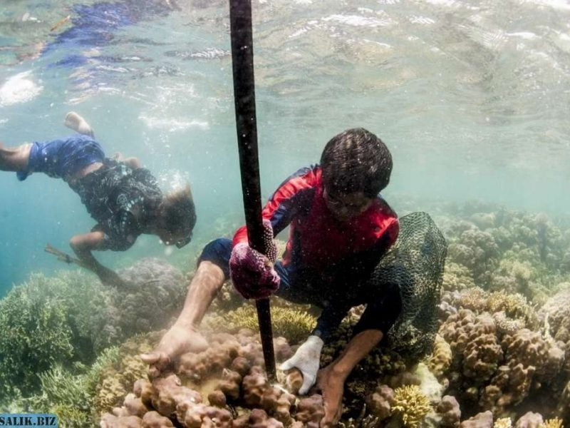 4e8732779a579f8edae14a3b4ac8ae7a 1