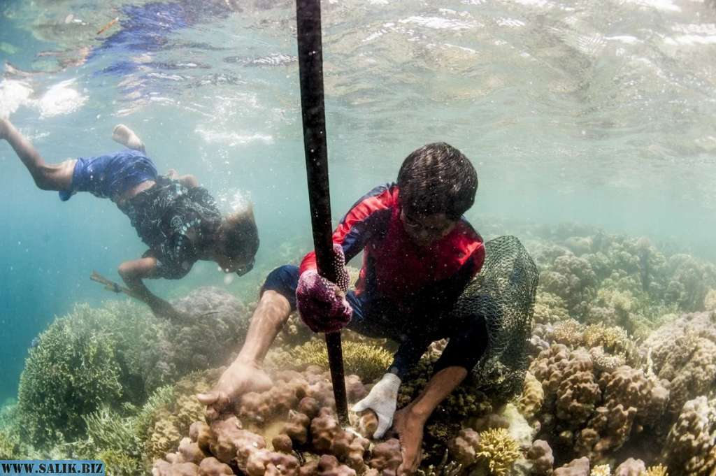 4e8732779a579f8edae14a3b4ac8ae7a 1