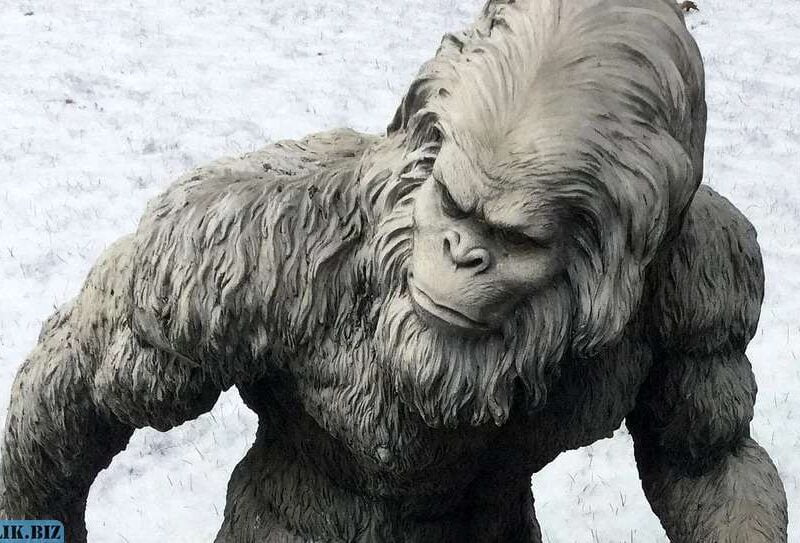 629e4e6f1c1496618c6d029d777aa3a8 1