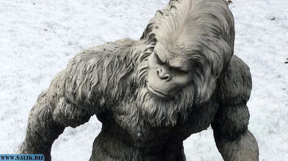 Неизвестное человекоподобное существо из Аризоны 18 629e4e6f1c1496618c6d029d777aa3a8 1