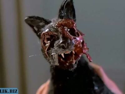 67ad7809a7b136dfa3890558256bf1b5 1