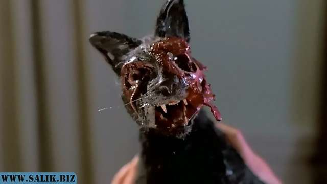 67ad7809a7b136dfa3890558256bf1b5 1