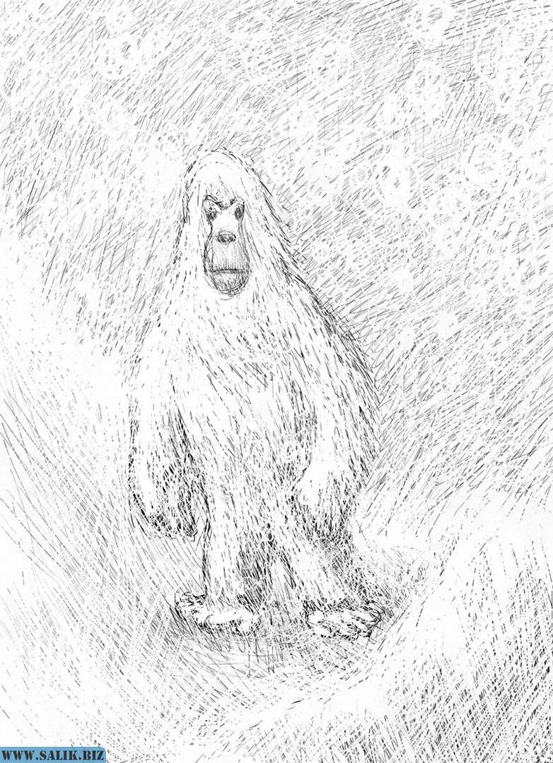 6cac9a863d7f7ed280963bc0bff42968 1