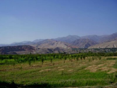 Kak moskovskij jog vstretil Snezhnogo cheloveka