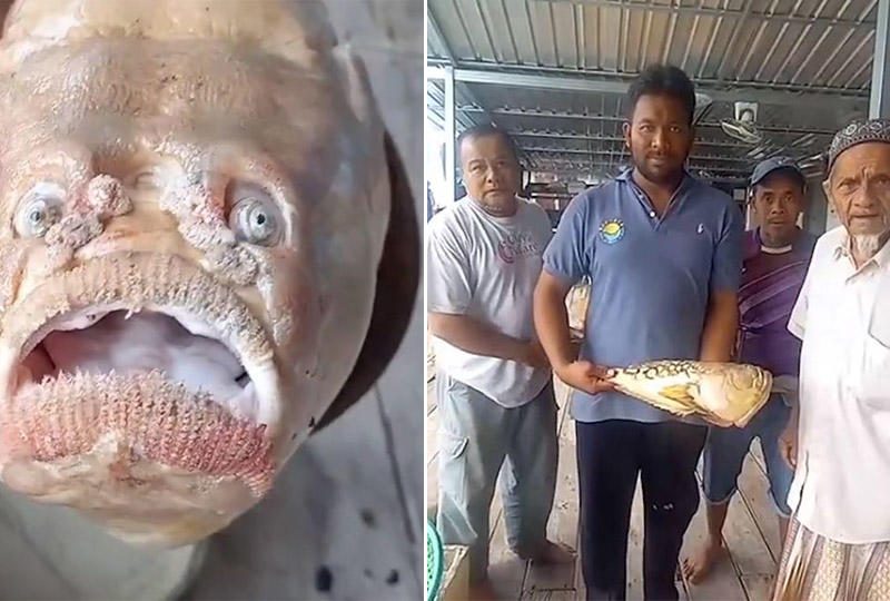 esrpic 5f9c09f8b299d1