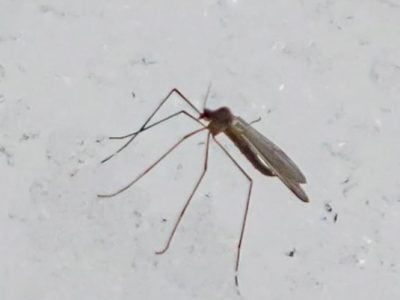 esrpic 5fff18ce1c6c31