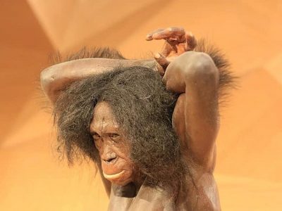 esrpic 6107a2cc5e7331