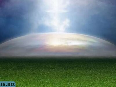 fa5c398a4087a91616690a940aa09806 1