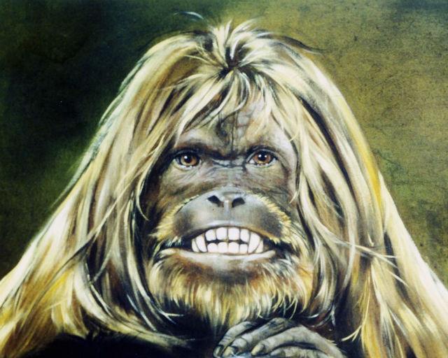 na poiski snezhnogo cheloveka otpravlyaetsya masshtabnaya ekspeditsiya.jpeg