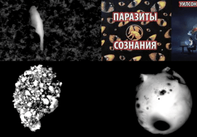 Ученые нашли в вакцинах графен, металл и даже колонию паразитов 22 05537503