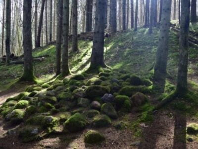 Аномальные Зоны В Лесу Покайни 22 27062680