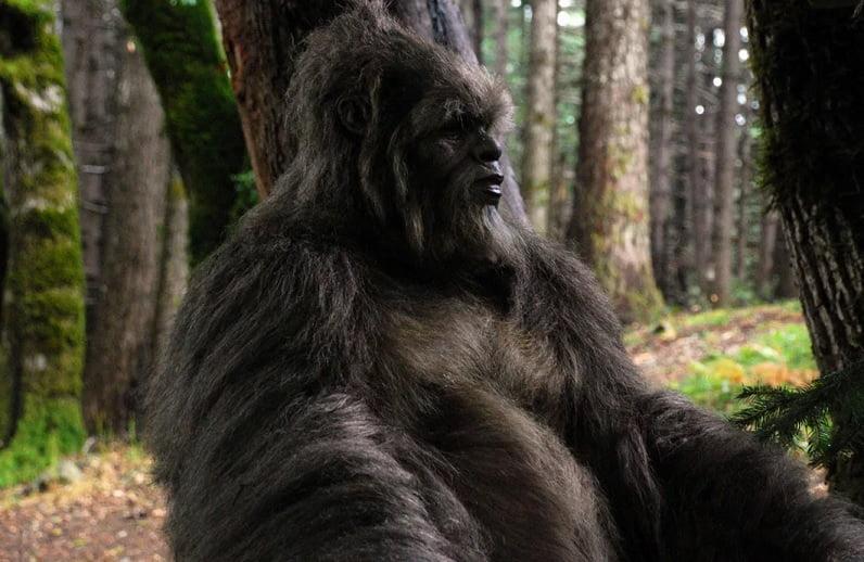 esrpic 5fce6cb6708a01