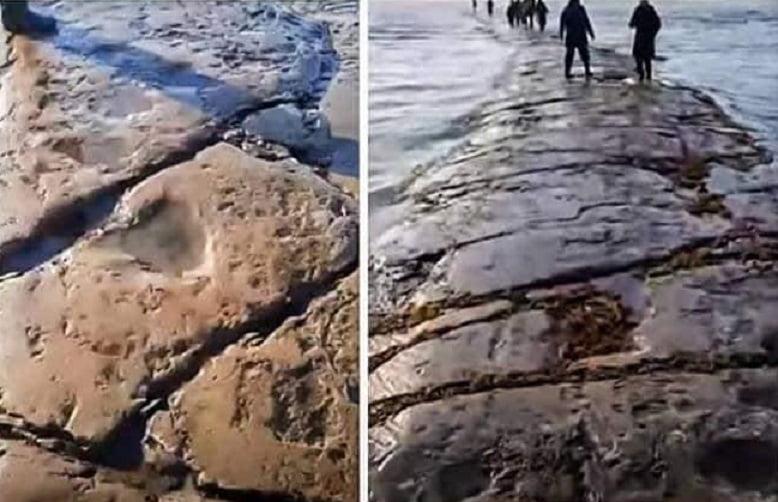 esrpic 60acb1f62b15f1