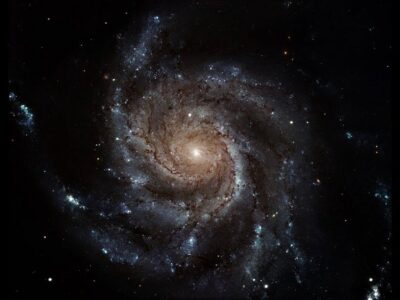 esrpic 614c0f758c7851