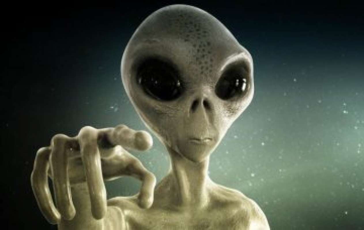 В сети появилось фото реального пришельца из Новой Зеландии 18 6439