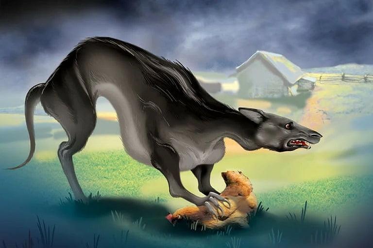 esrpic 5fd05f44f01a91