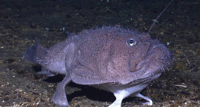 pic 28 12 2019 2136581