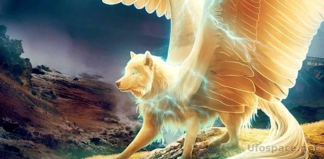 Симураны: Крылатые волки Бога Огня 18 55796367