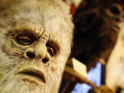 Существовали ли когда-нибудь животные, похожие на бигфута? 22 72432867