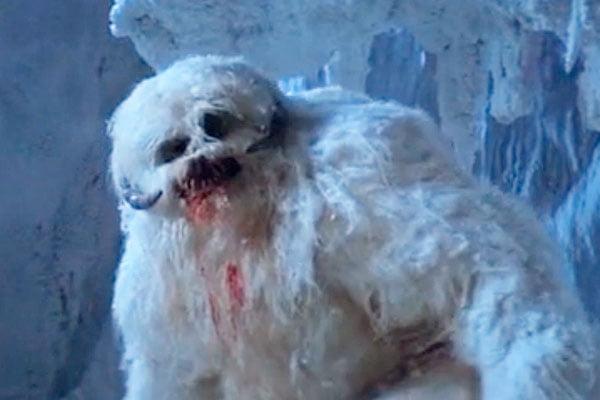 В США обнаружили снежного человека 18 V SSHA obnaruzhili snezhnogo cheloveka