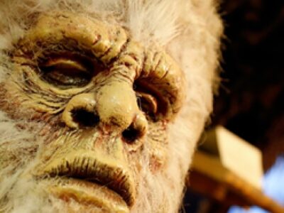 esrpic 6005b8a0305e21