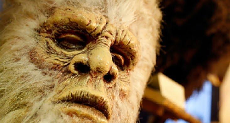 esrpic 6005b8a0305e21