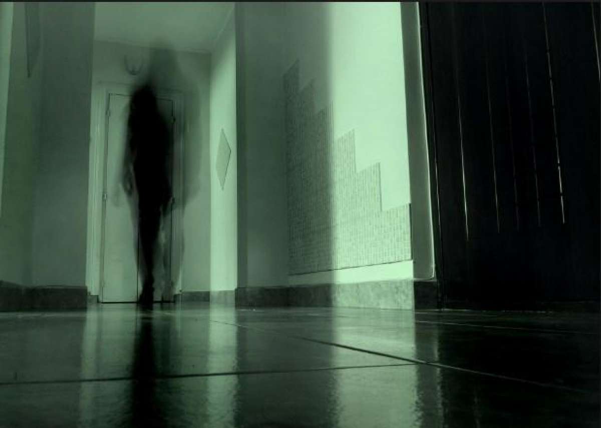 Ученые рассказали, как мозг реагирует на призраков 18 2498