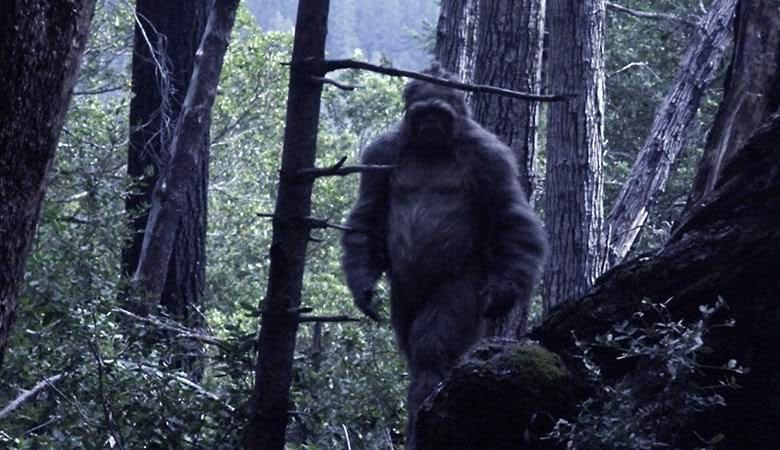 esrpic 6030dd94e629e1