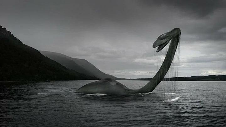 esrpic 603331d5577191