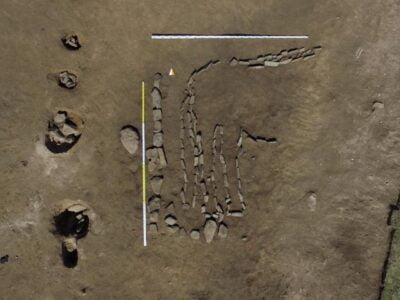 Редкий геоглиф с изображением быка раскопали рядом с Хакасией 21 esrpic 61bf36e4cb4c41