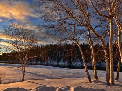 Если у йети красные глаза, сияющие в темноте, то он не родственник человеку? 26 19860260