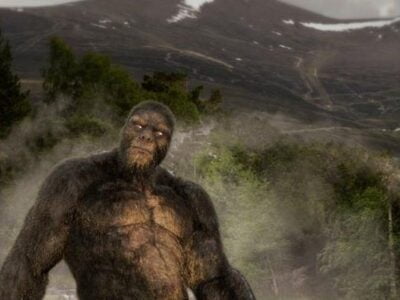 Бигфут приподнял тяжелый трейлер с семьей 21 90939702