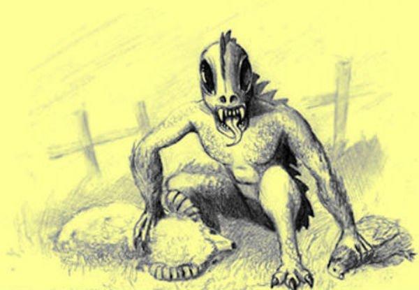 Vblizi ot Vladivostoka obyavilas chupakabra