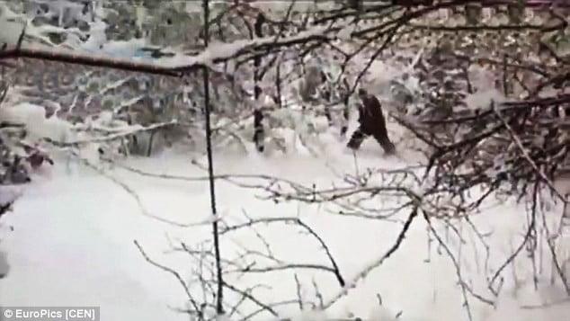 Японское Fuji TV подготовило сюжет о снежном человеке из Адыгеи 18 YAponskoe Fuji TV podgotovilo syuzhet o jeti iz Adygei