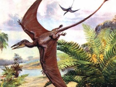 esrpic 602a97e1b88dc1